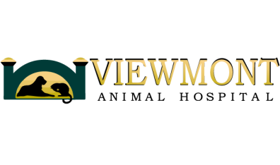 Viewmont Animal Hospital-HeaderLogo