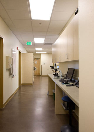 The Center for Bird and Exotic Medicine Lab