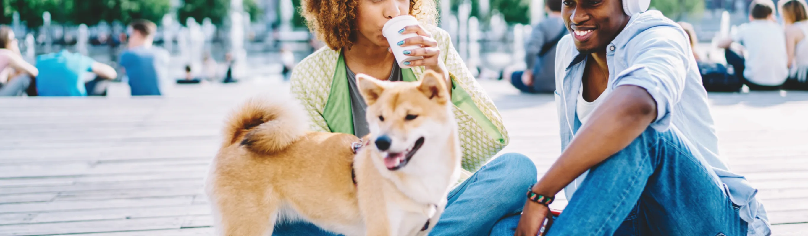 Couple sitting outside with their dog Couple sitting outside with their dog