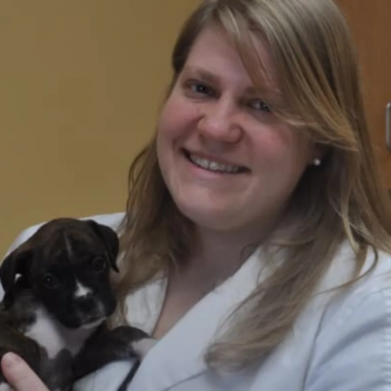 Dr. Jennifer Collins Dr. Jennifer Collins