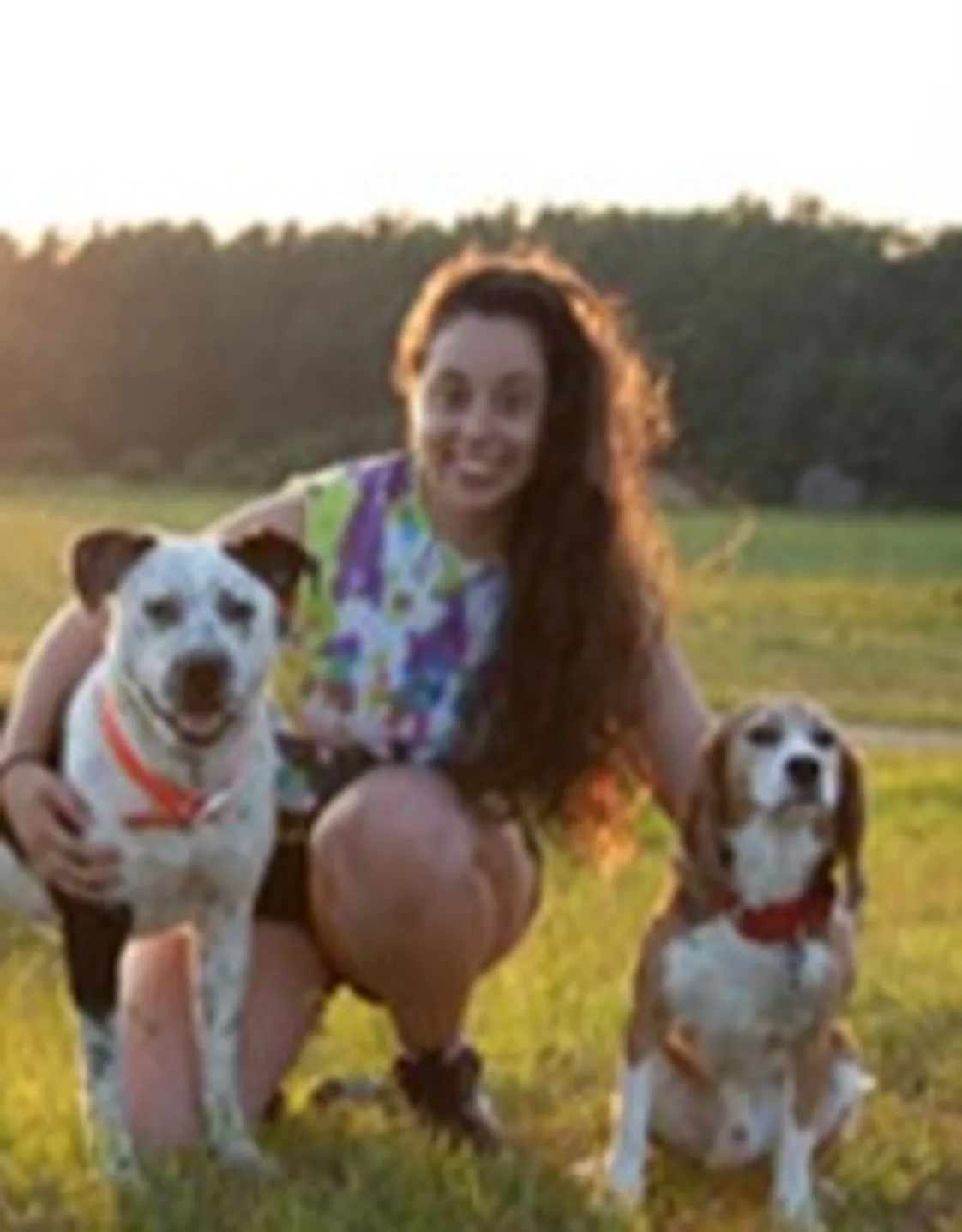 Abby in a field with 2 dogs Abby in a field with 2 dogs