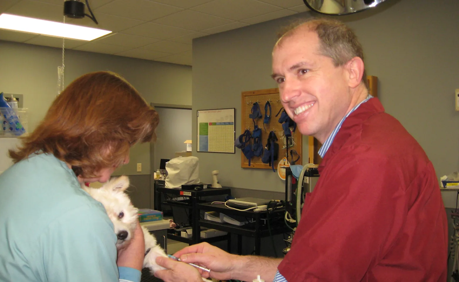 Doctor with dogs Doctor with dogs