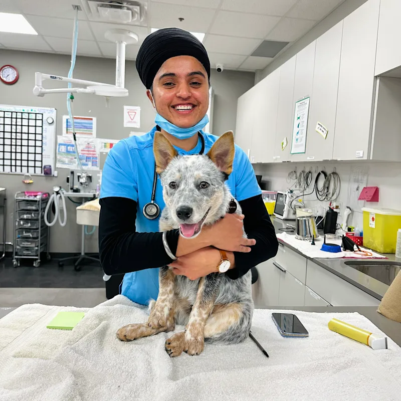 Dr. Sukhmeet Kaur Dr. Sukhmeet Kaur