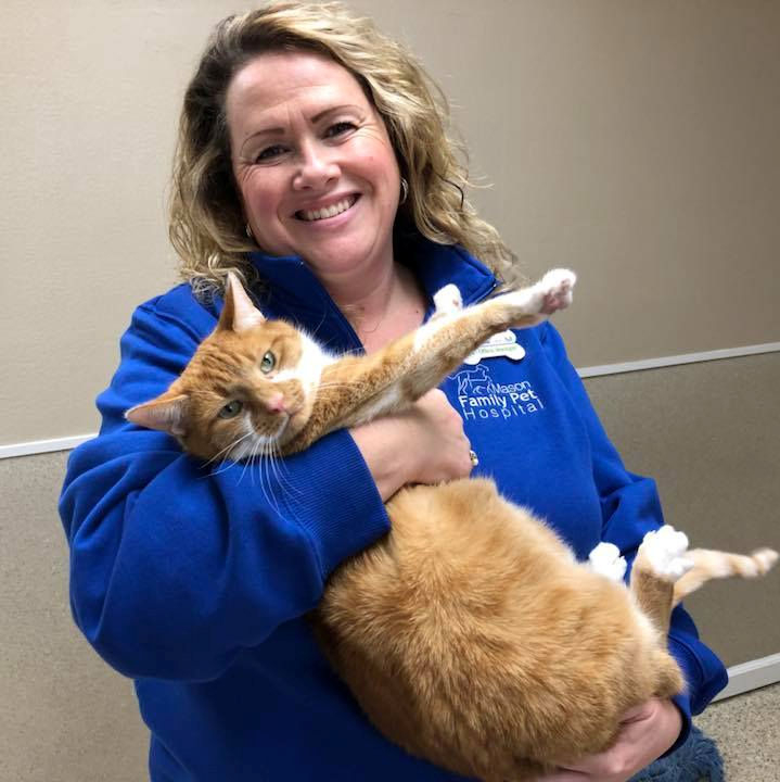 Veterinarian at Mason Family holding orange cat