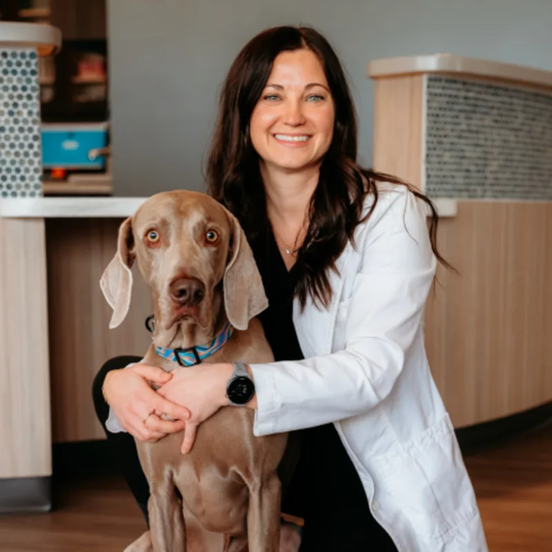 Dr. Jackie Kalams at Southern Oregon Veterinary Specialty Center Dr. Jackie Kalams at Southern Oregon Veterinary Specialty Center