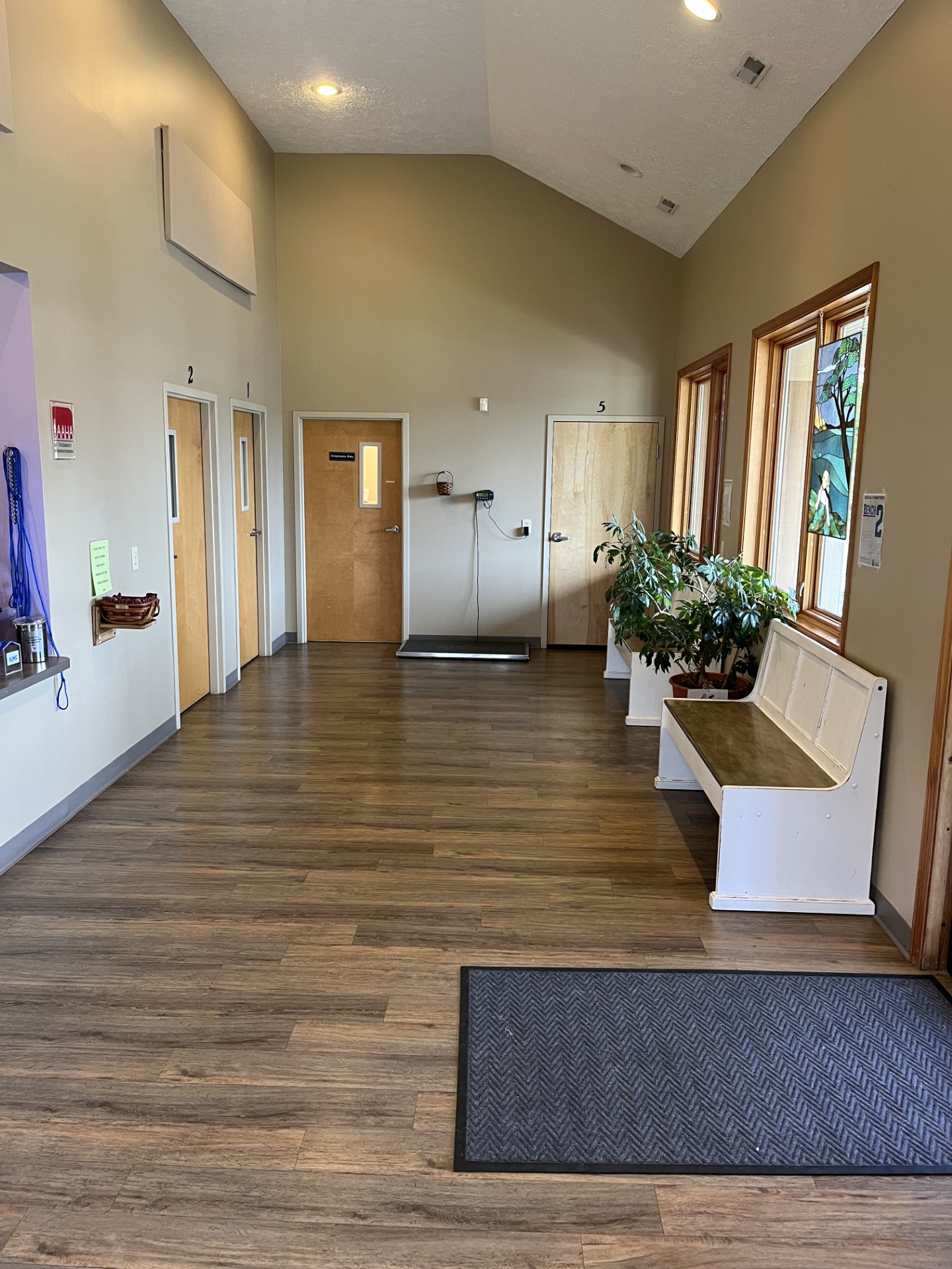 Spacious lobby area and waiting area at College Mall Veterinary Hospital