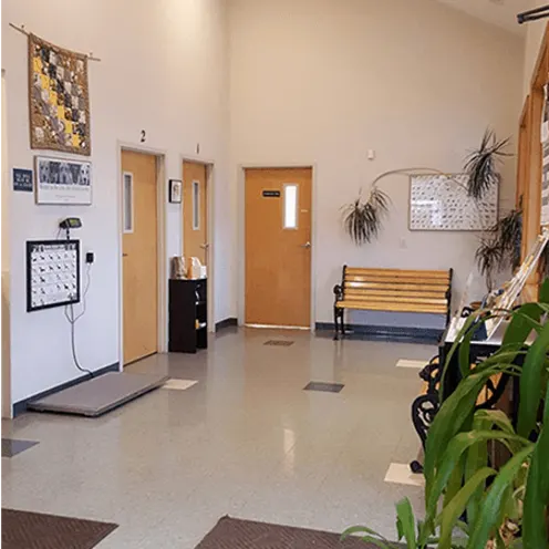 Spacious lobby area and waiting area at College Mall Veterinary Hospital