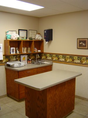 Small Animal Hospital Checkups