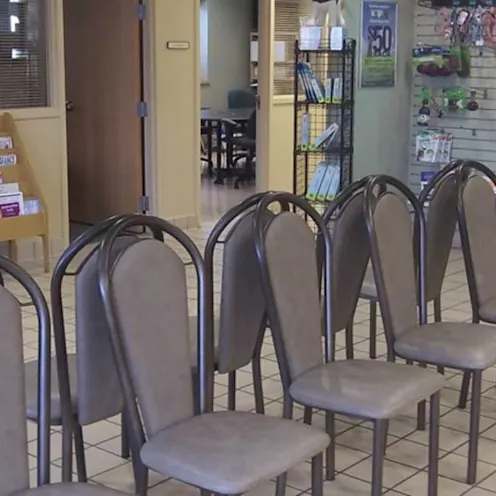 Waiting Room Waiting Room