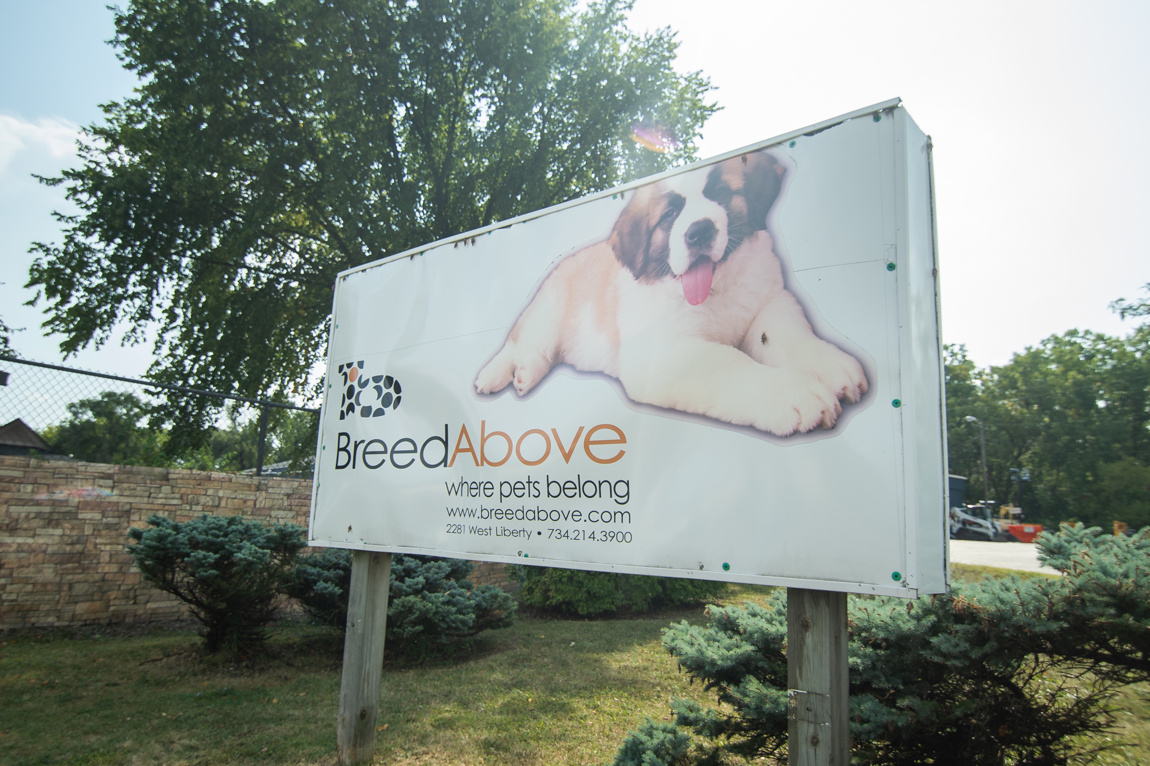 Breed Above Outside Banner