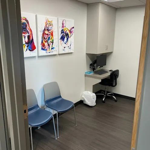 Room in St. Francis Veterinary Clinic Hospital with 2 blue chairs inside. Room in St. Francis Veterinary Clinic Hospital with 2 blue chairs inside.