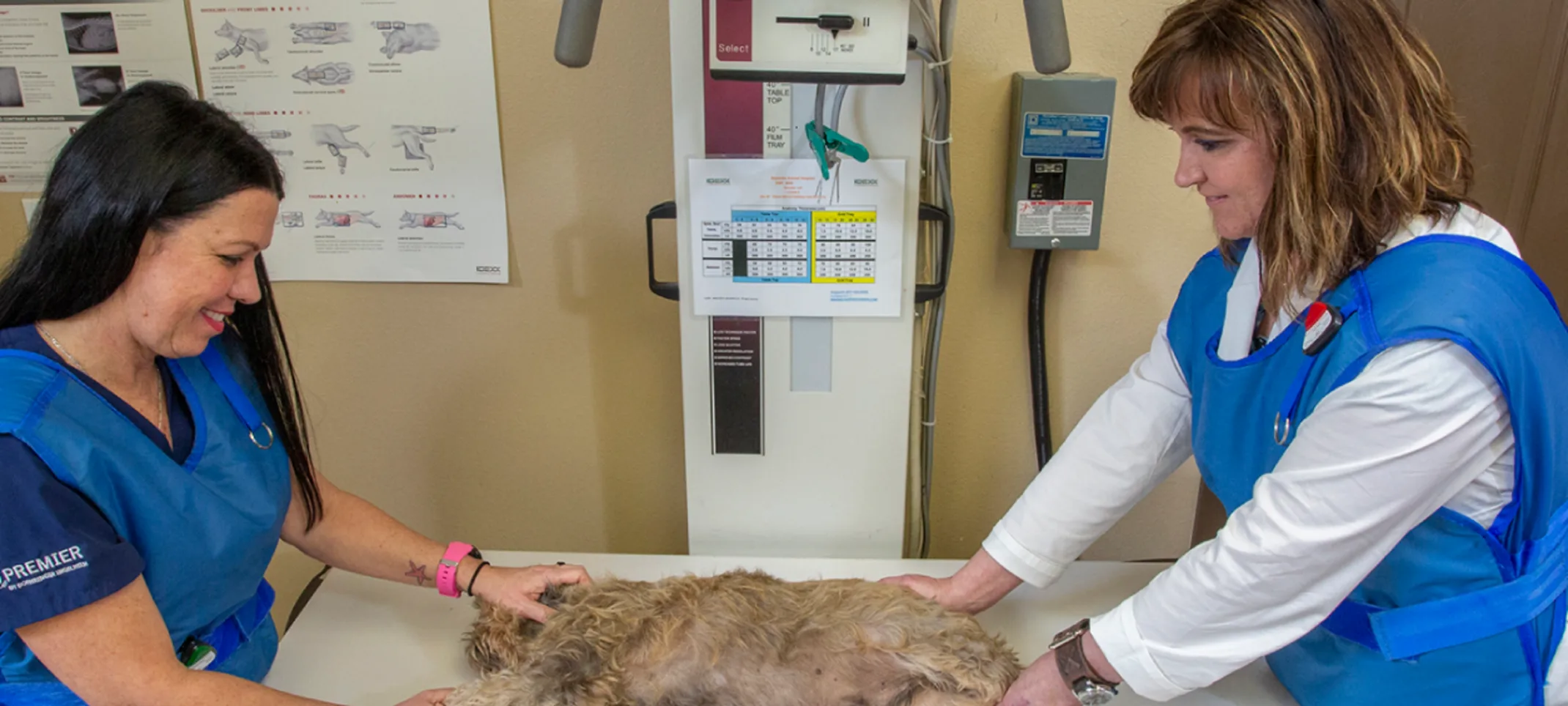 two staff members and a dog on the table two staff members and a dog on the table