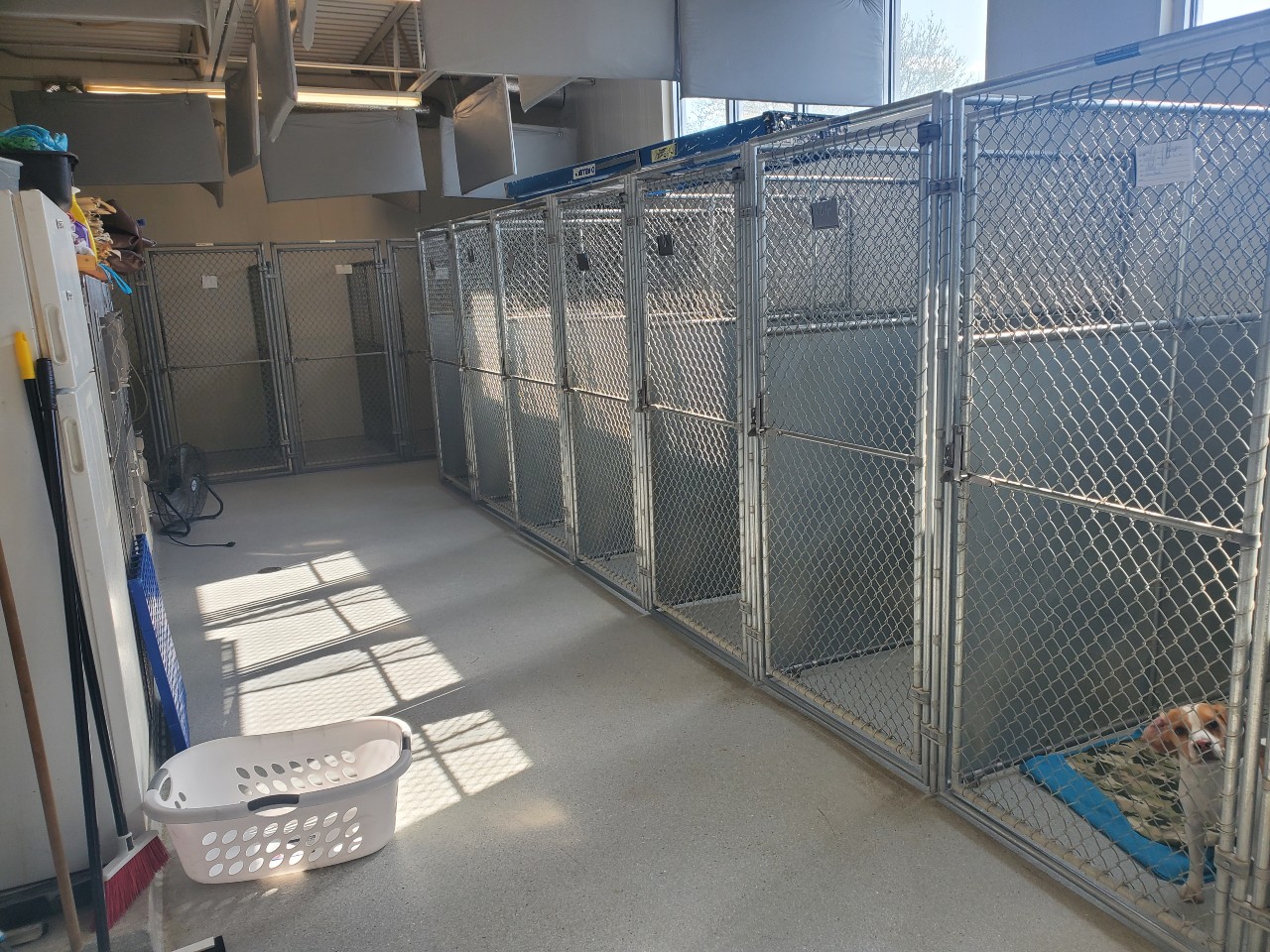 Family Pet Hospital Perry Creek 0131 - Kennel Room
