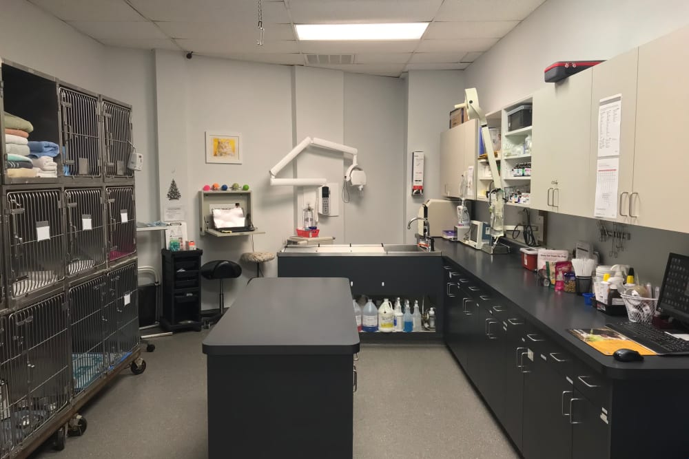 Countryside Veterinary Clinic of Richmond Checkup table area and lab
