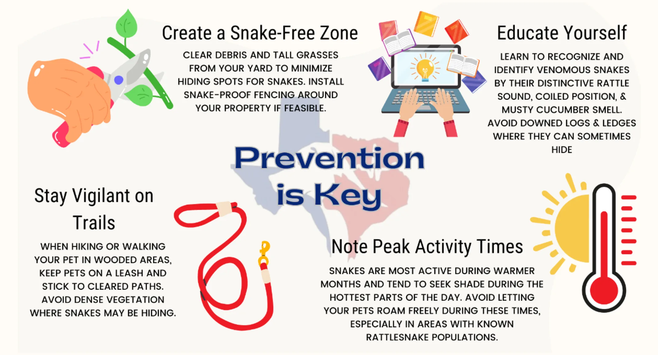 Venomous Snakebites Information Venomous Snakebites Information