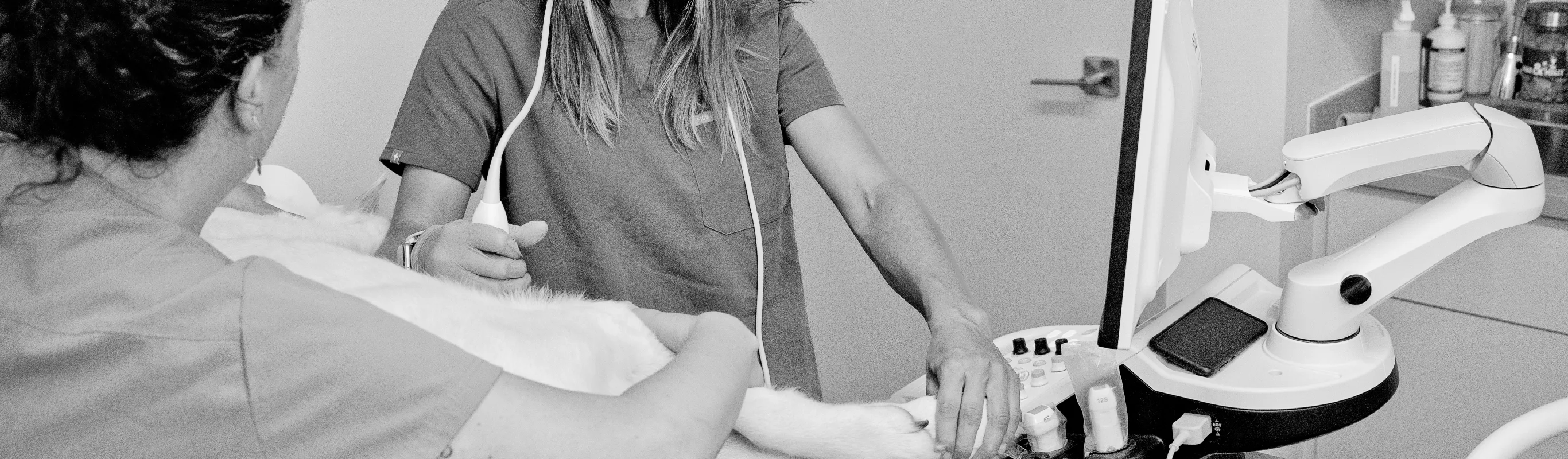 Black and white photo of two Eagleview Veterinary Hospital staff members examining a dog.