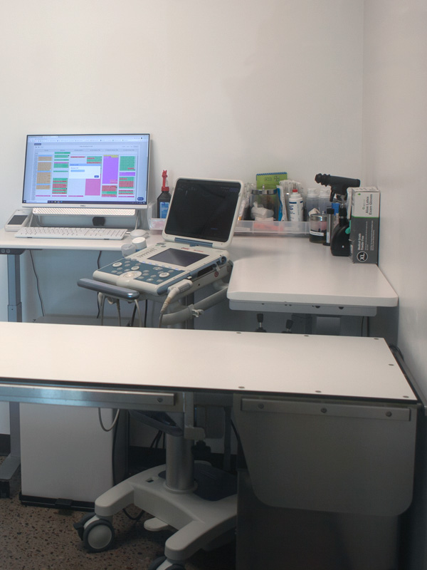 Arizona Animal Hospital Exam Room