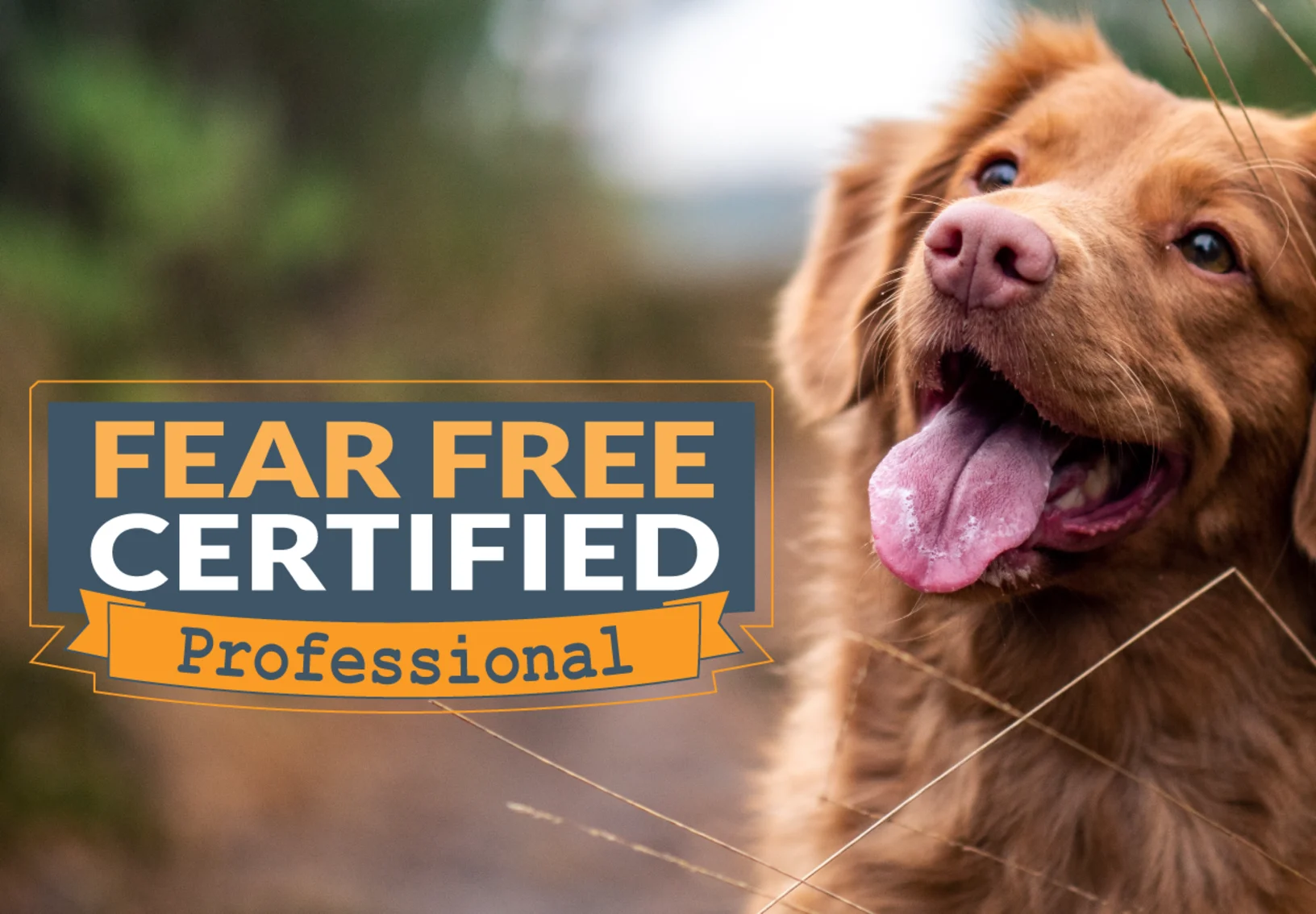 Fear Free Logo Fear Free Logo