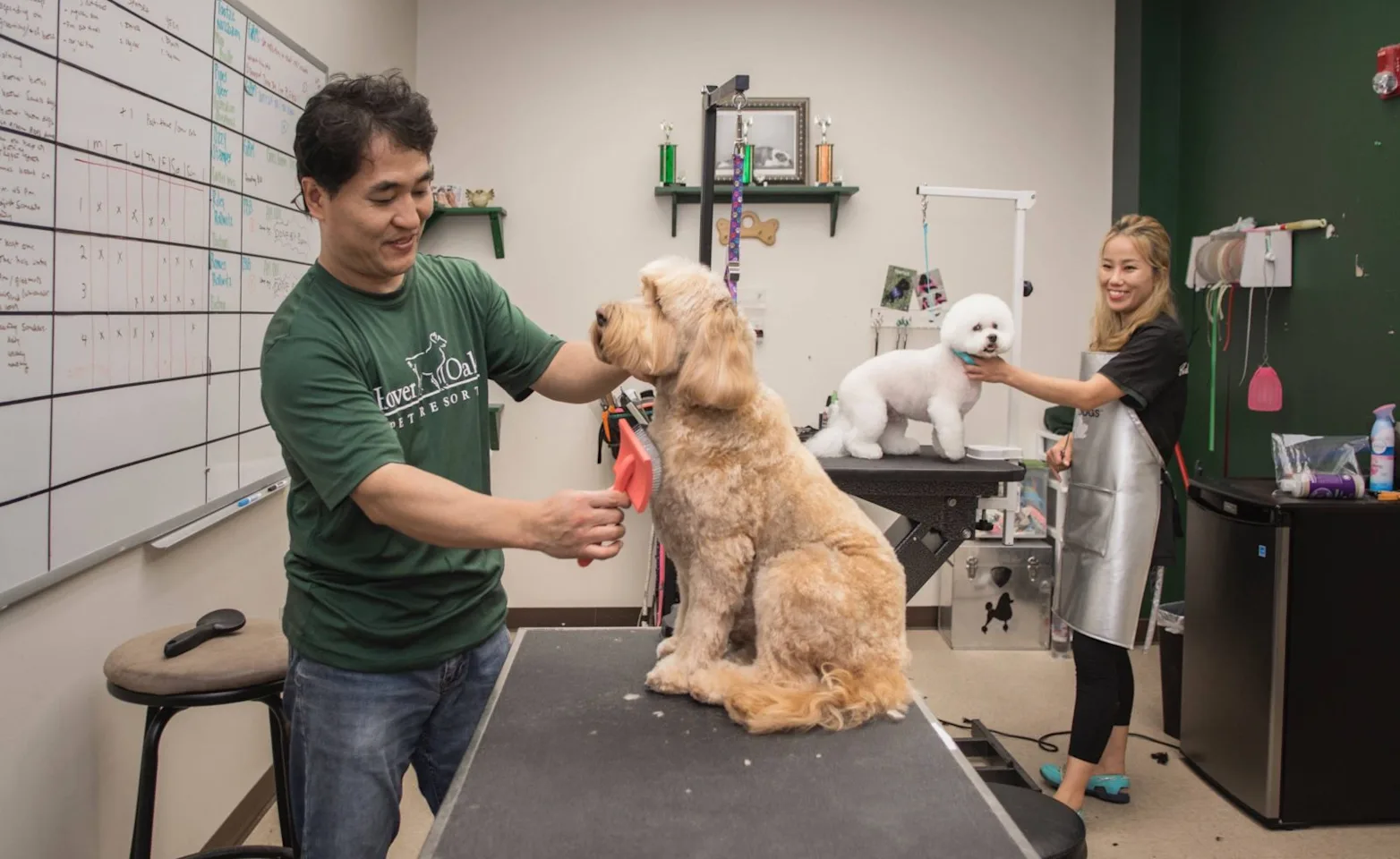 Grooming Station at Rover Oaks Pet Resort Grooming Station at Rover Oaks Pet Resort
