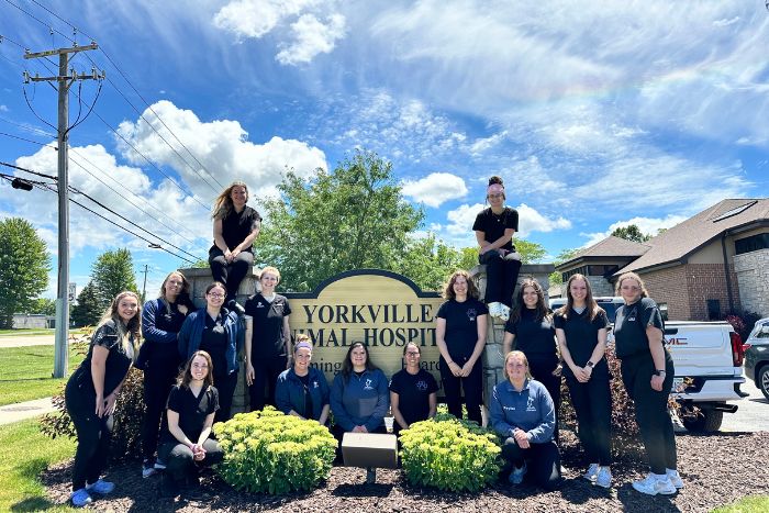Yorkville Staff