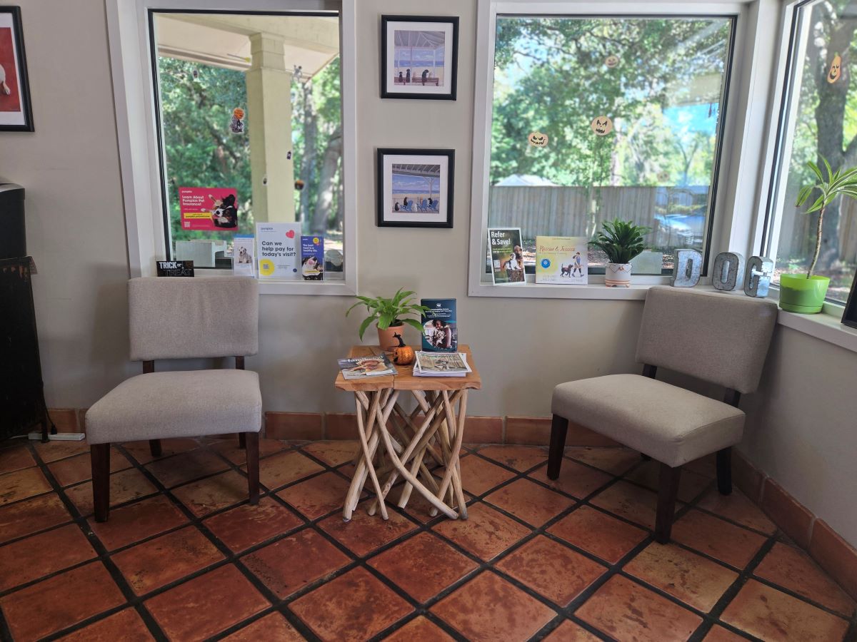 Seating Area at Hanover Regional Animal Hospital