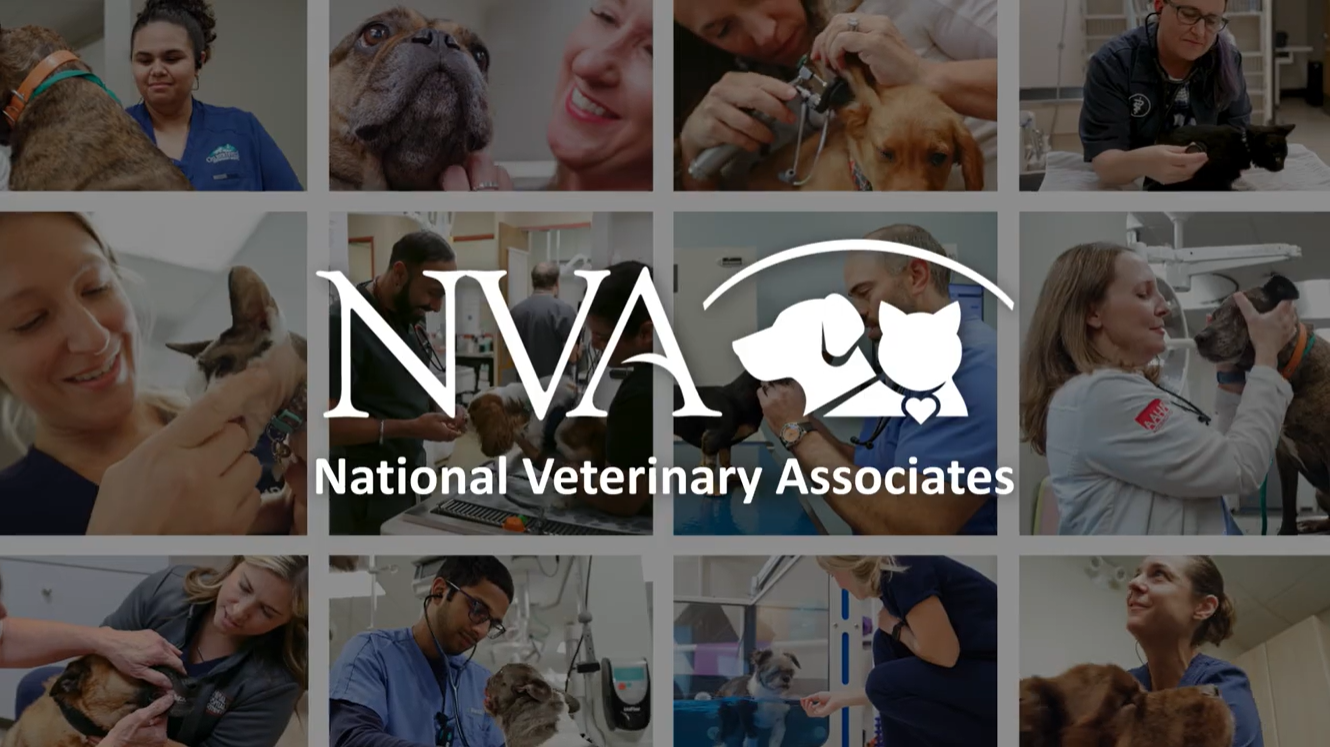 The NVA Story - Video Thumbnail