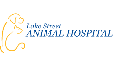 Lake Street Animal Hospital-HeaderLogo