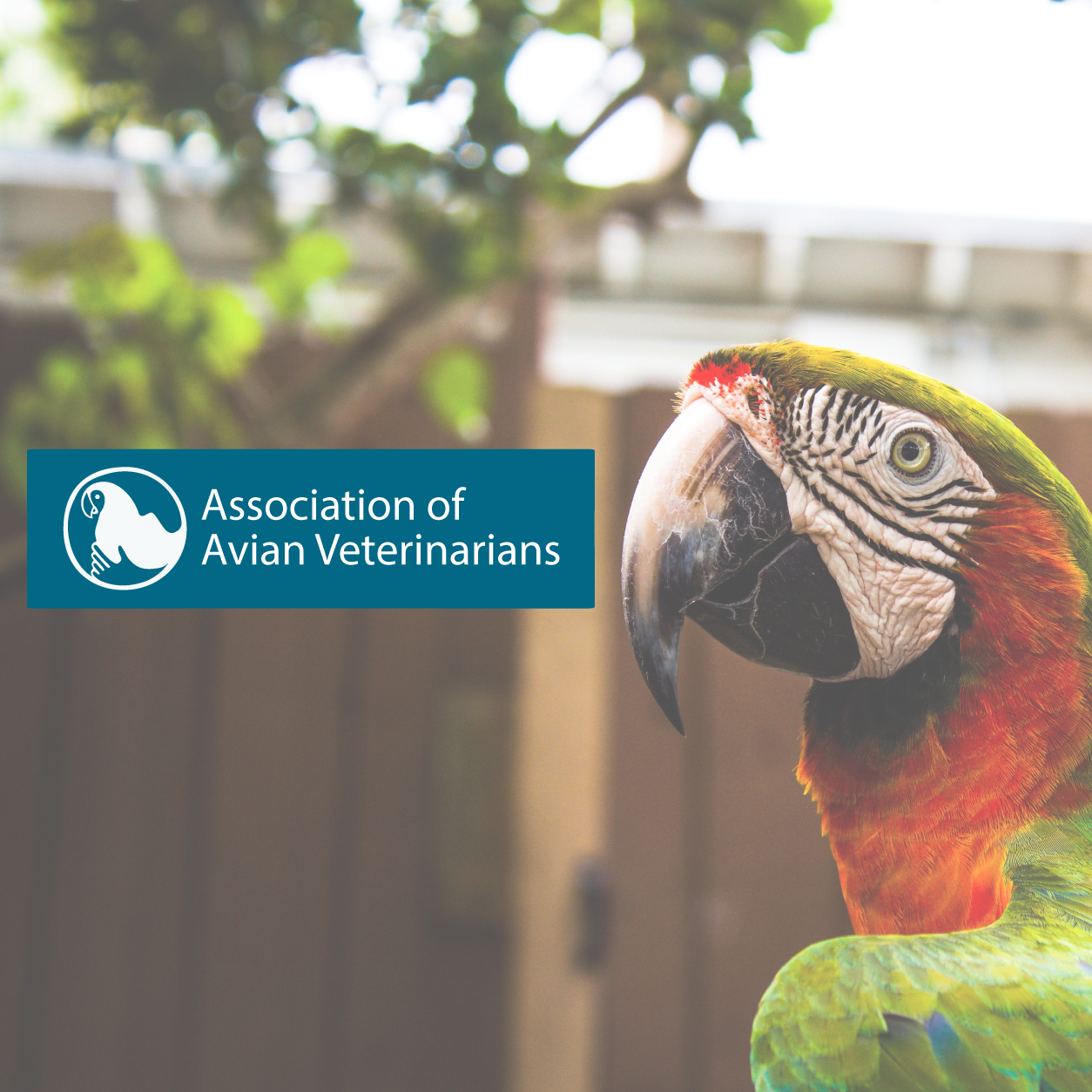 AAV Enrichment Tips - Association of Avian Veterinarians