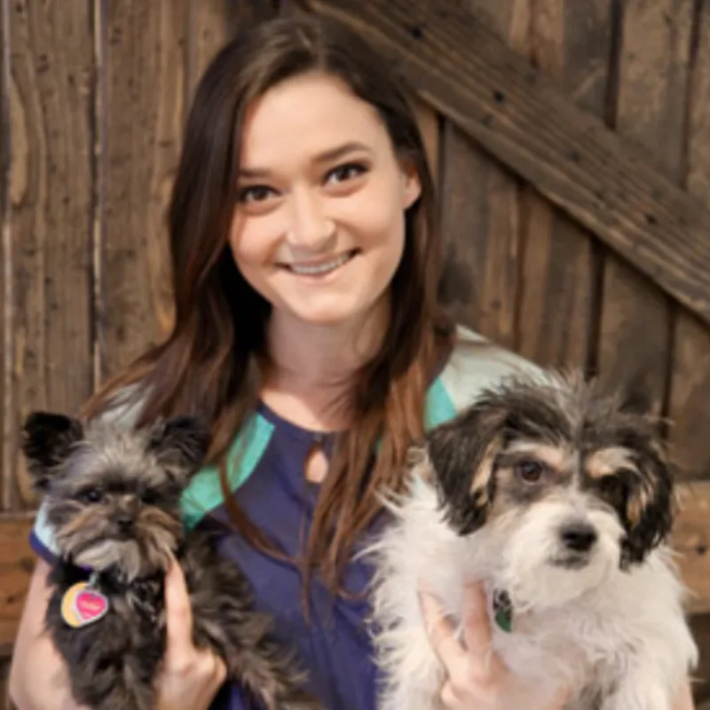 A veterinarian posing with two dogs A veterinarian posing with two dogs
