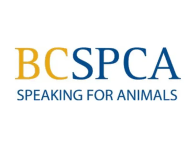 BC SPCA BC SPCA