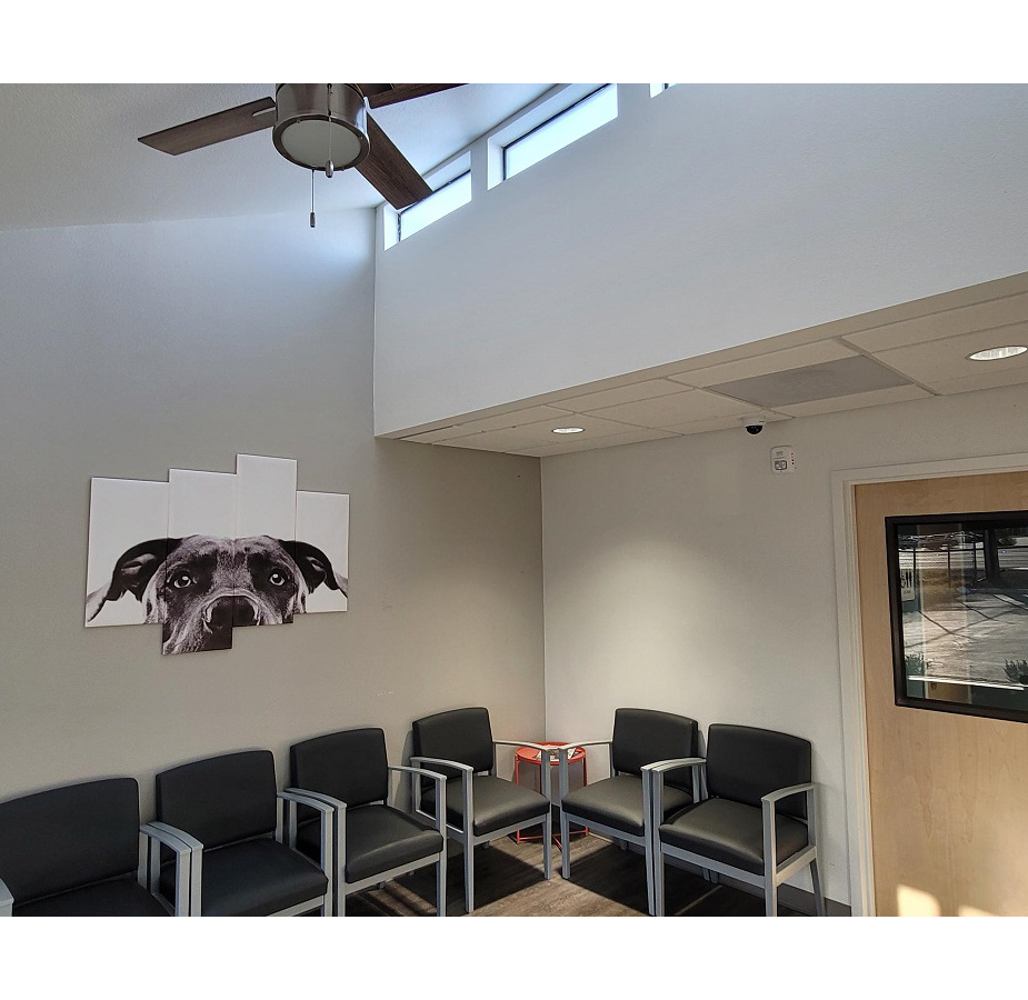 Lobby in Cheyenne Tonopah Animal Hospital