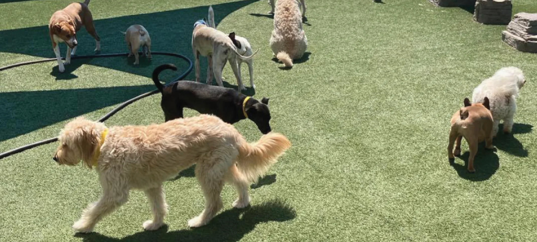 Play area outside Play area outside