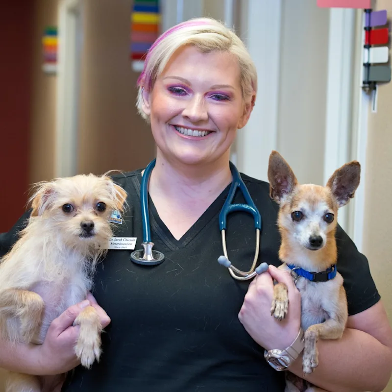 Sarah Chinault Sarah Chinault