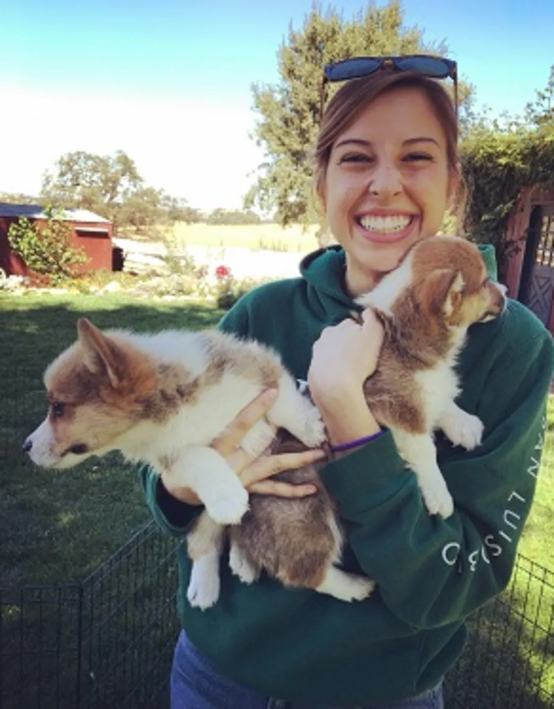 Maddie holding onto two puppies. Maddie holding onto two puppies.