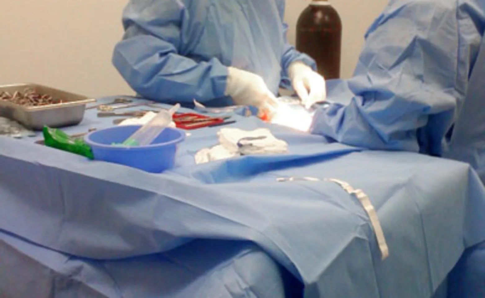 veterinarians performing surgery on an animal veterinarians performing surgery on an animal