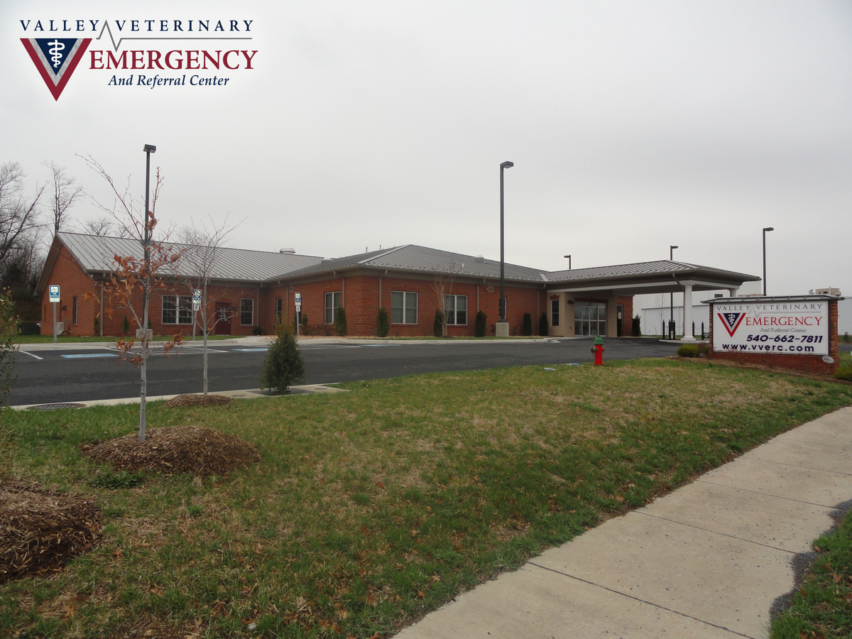 Drop off for Veterinary Emergency room at VVERC