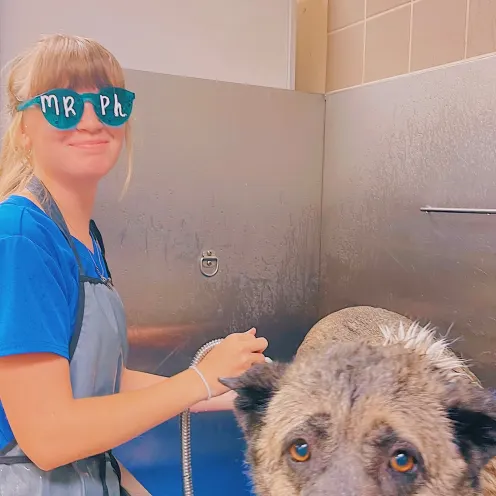 MRPH staff washing a dog