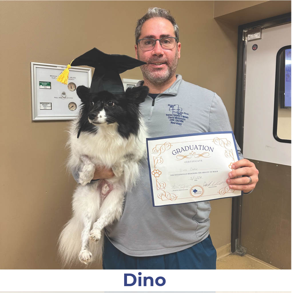 Dino the dog with Neurology Graduate Hall of Fame certificate