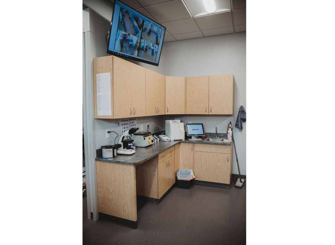 Laboratory at Value Vet