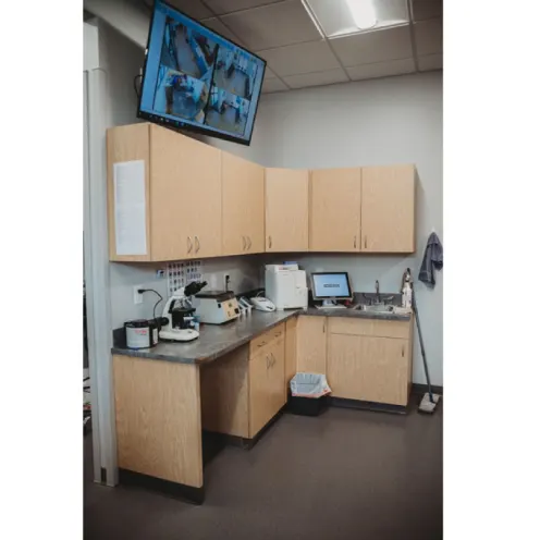 Laboratory at Value Vet