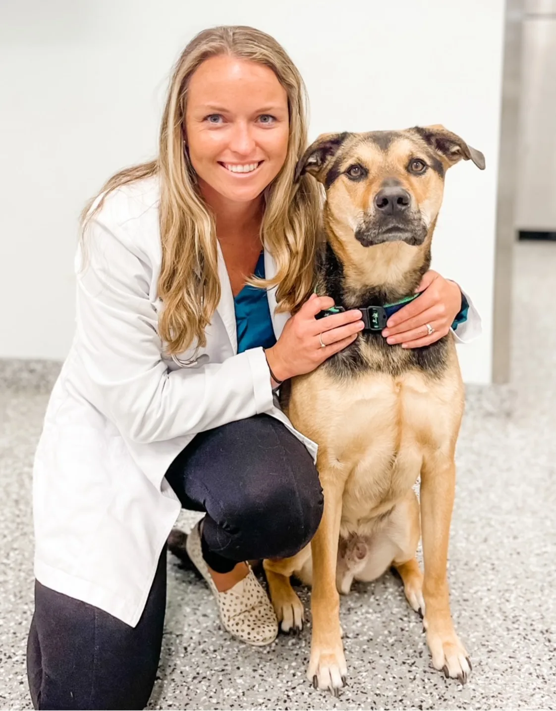 Dr. Jen Brogie smiling kneeling down next to a large brown dog Dr. Jen Brogie smiling kneeling down next to a large brown dog