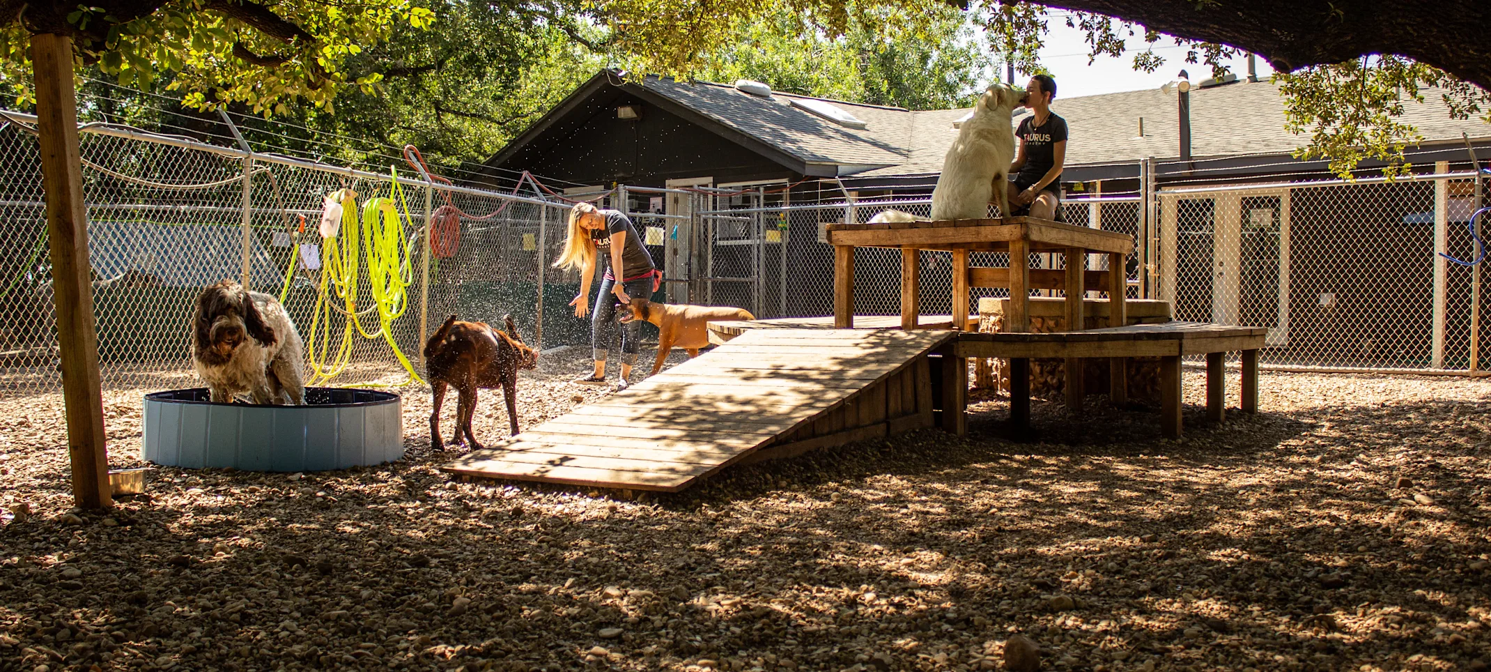 Taurus Academy Play Yard Taurus Academy Play Yard