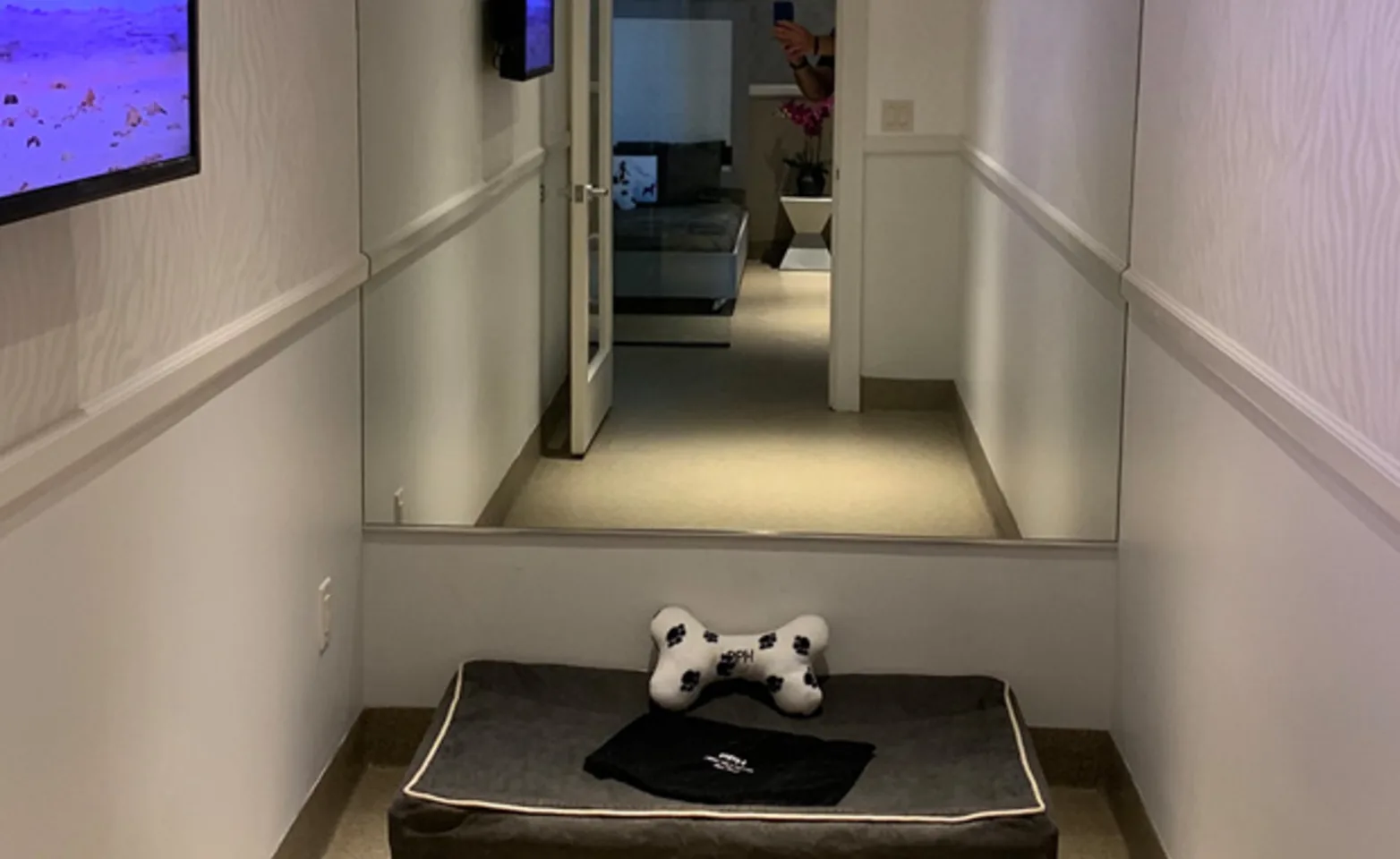 Posh Pet Hotel Zen room with a mirror and dog bed