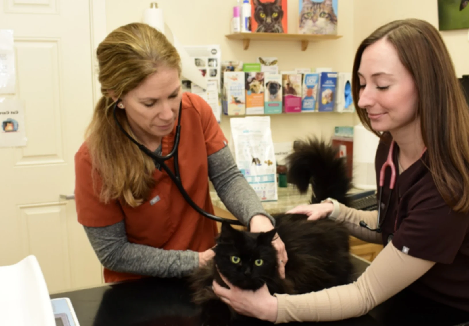 Less stress vet care Less stress vet care