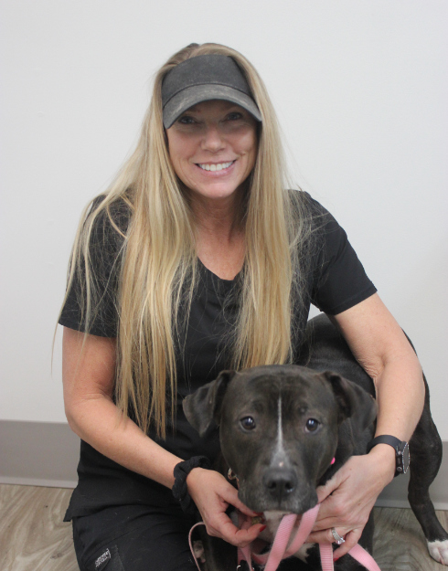 Amy New Haven Pet Hospital with a gray and white dog