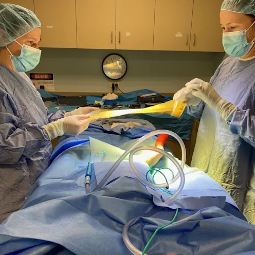 Surgery Prep Surgery Prep