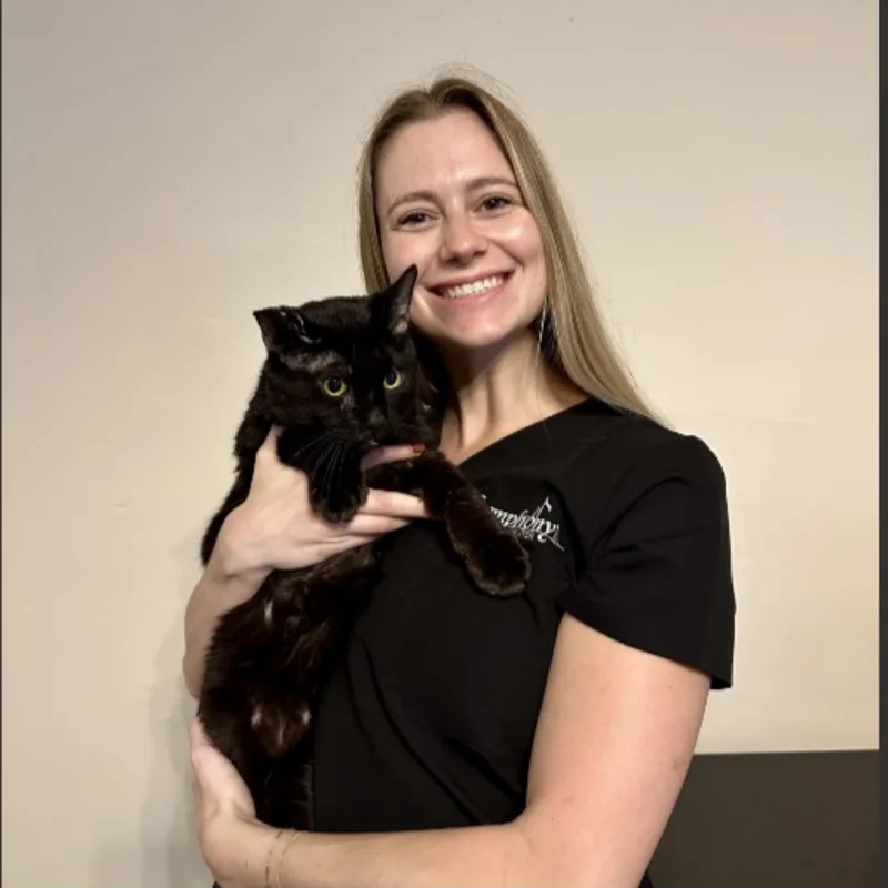 Dr. Sremac Dr. Sremac