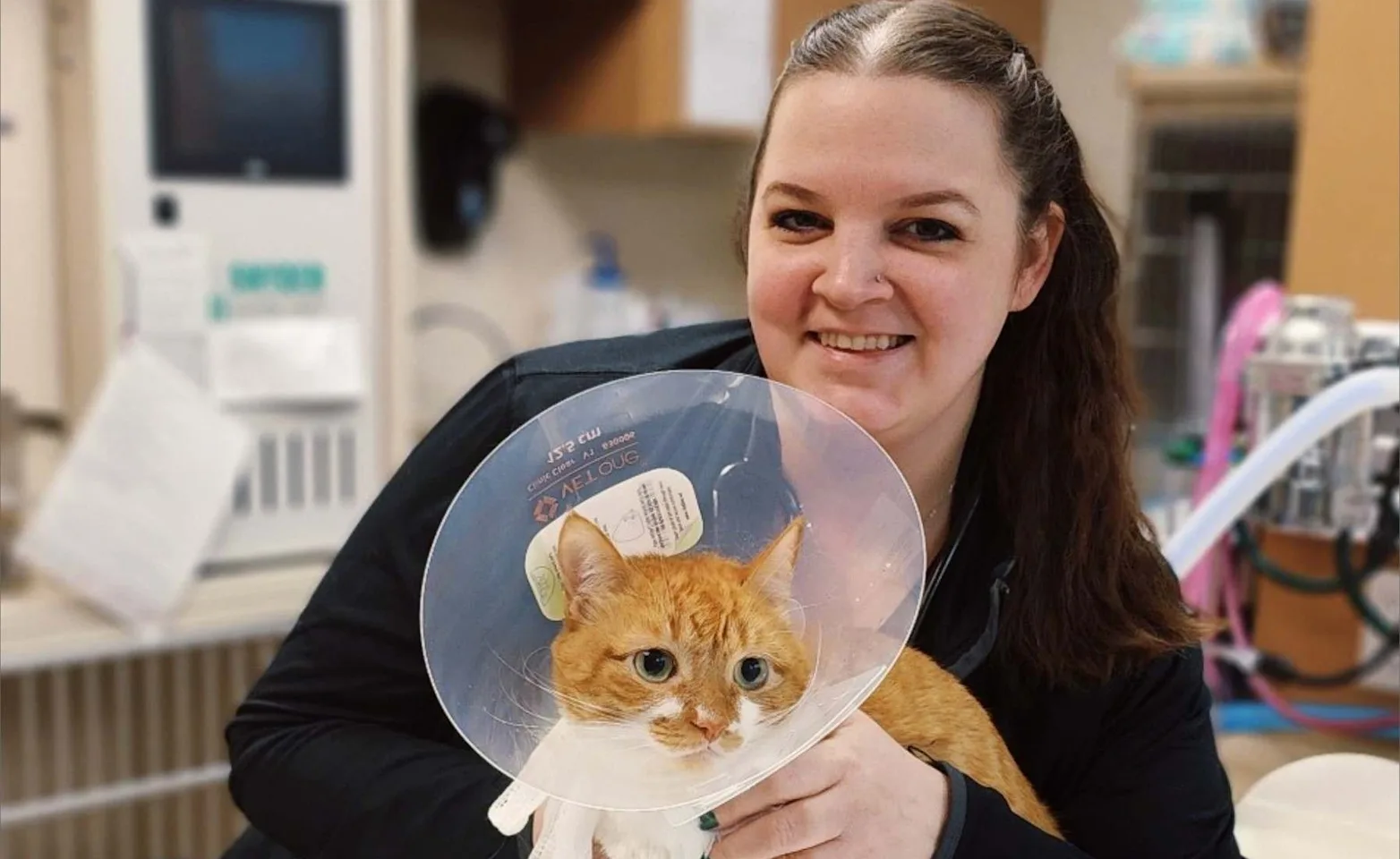 Staff member holding a cat with a surgery cone over it's head. Staff member holding a cat with a surgery cone over it's head.