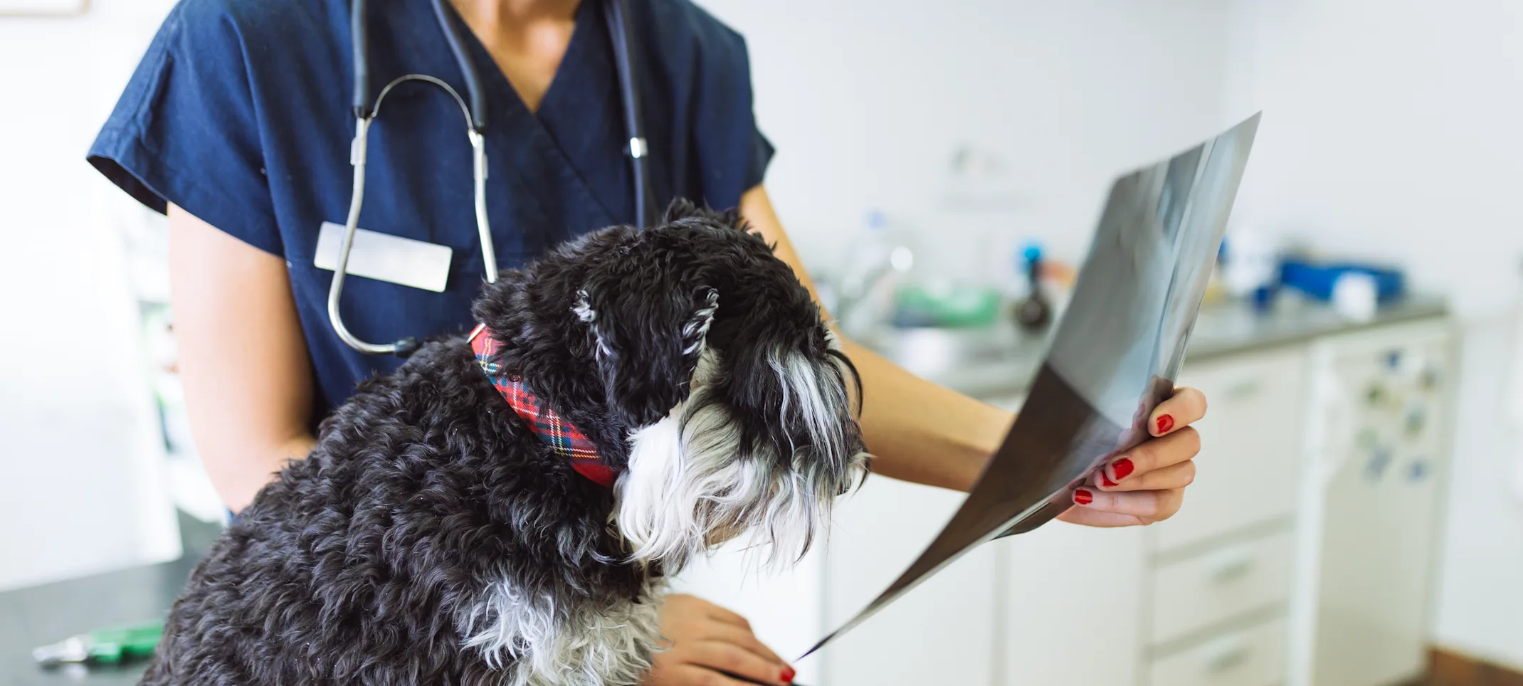 Doctor looking at X-Ray Doctor looking at X-Ray
