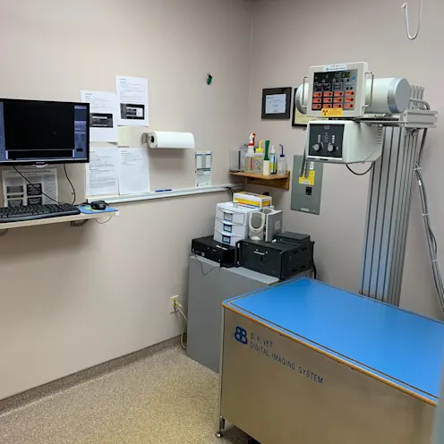 Kokomo Animal Hospital Radiology Kokomo Animal Hospital Radiology